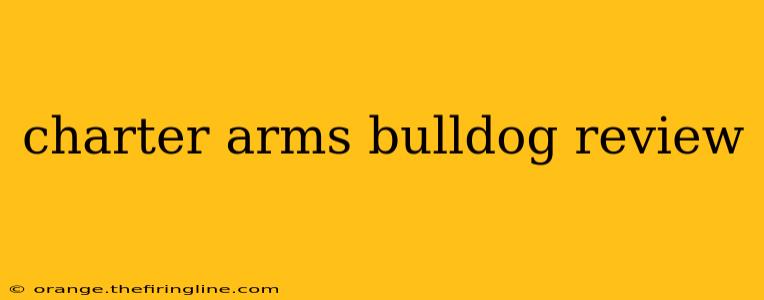 charter arms bulldog review