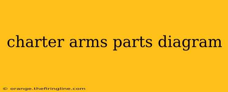 charter arms parts diagram