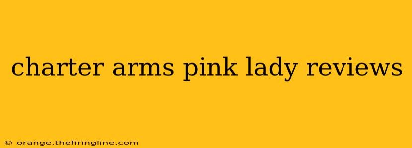 charter arms pink lady reviews