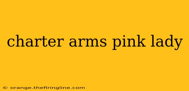 charter arms pink lady