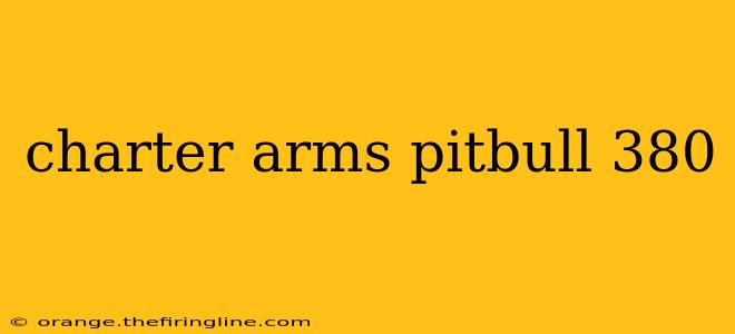 charter arms pitbull 380