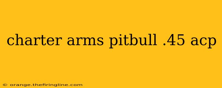 charter arms pitbull .45 acp