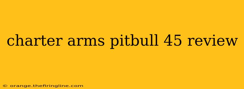 charter arms pitbull 45 review