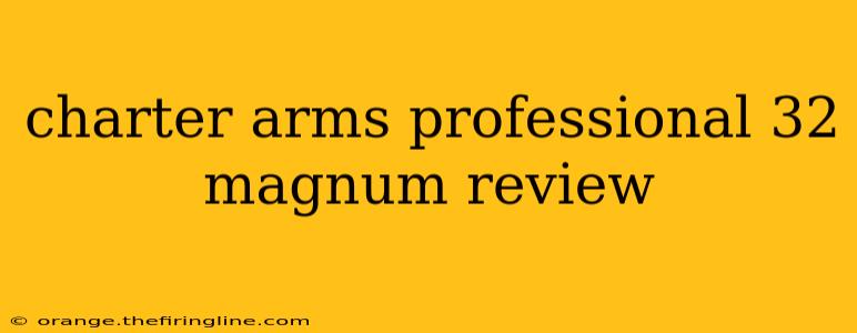 charter arms professional 32 magnum review