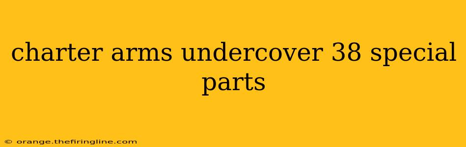 charter arms undercover 38 special parts