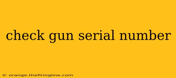 check gun serial number