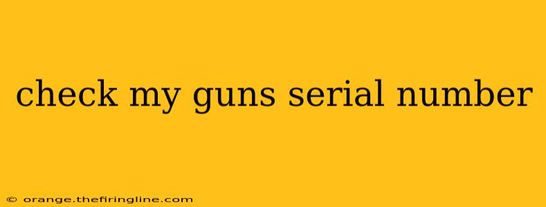 check my guns serial number