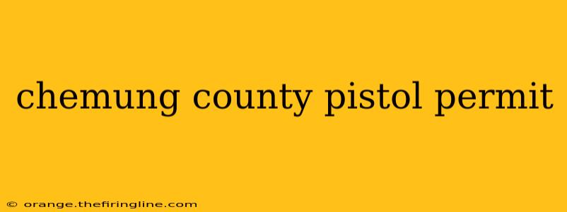 chemung county pistol permit