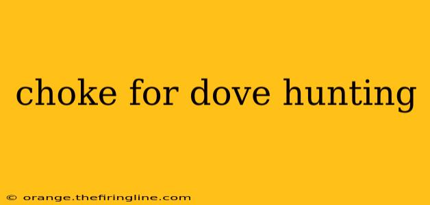 choke for dove hunting