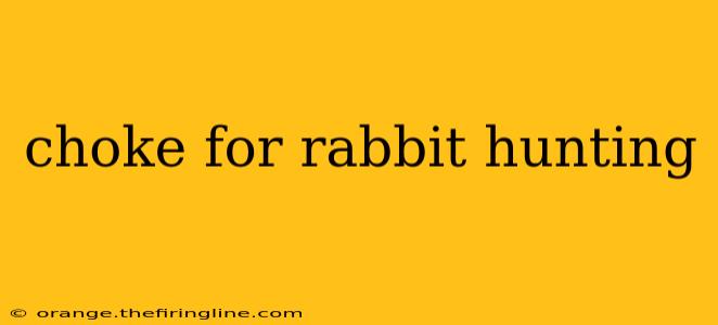 choke for rabbit hunting