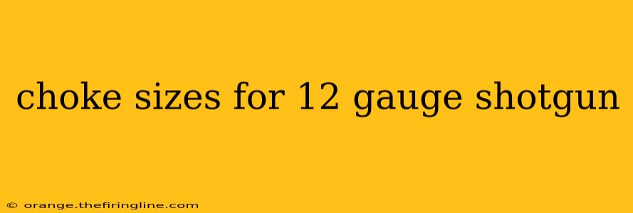 choke sizes for 12 gauge shotgun