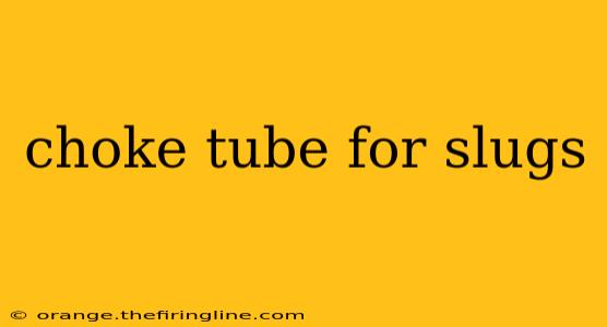 choke tube for slugs