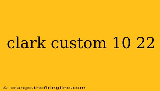 clark custom 10 22