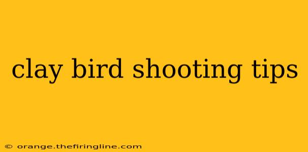 clay bird shooting tips