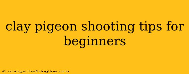 clay pigeon shooting tips for beginners