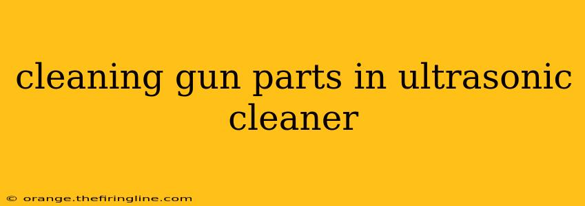 cleaning gun parts in ultrasonic cleaner