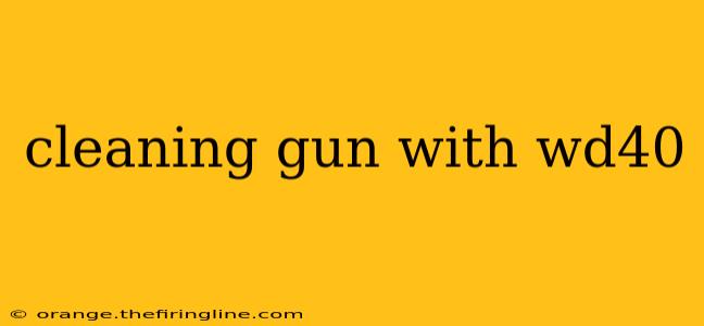 cleaning gun with wd40