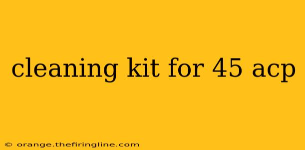 cleaning kit for 45 acp