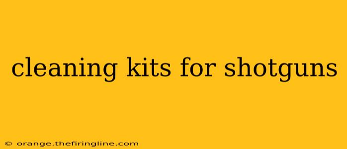 cleaning kits for shotguns