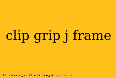 clip grip j frame