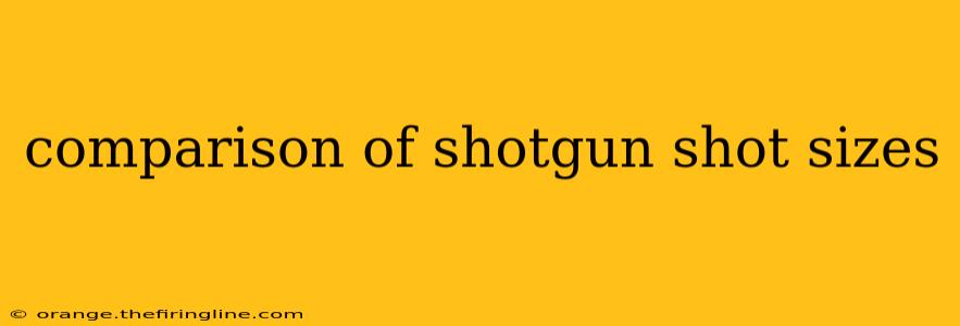 comparison of shotgun shot sizes