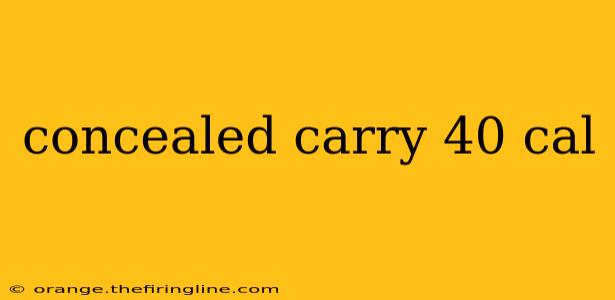 concealed carry 40 cal