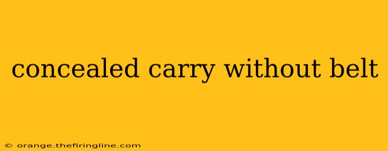 concealed carry without belt