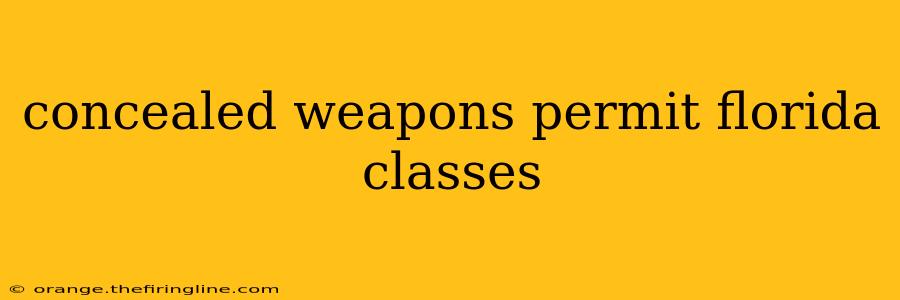 concealed weapons permit florida classes