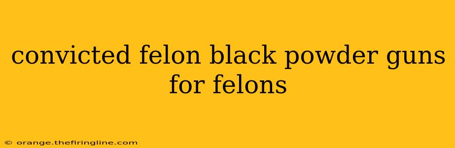 convicted felon black powder guns for felons