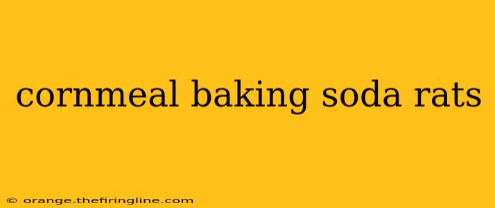 cornmeal baking soda rats