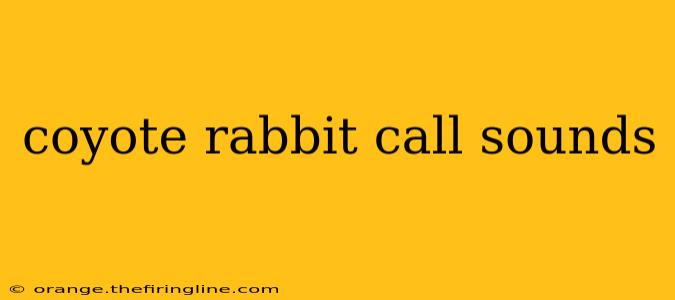 coyote rabbit call sounds