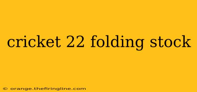 cricket 22 folding stock