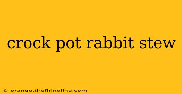 crock pot rabbit stew