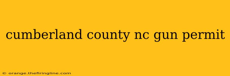 cumberland county nc gun permit