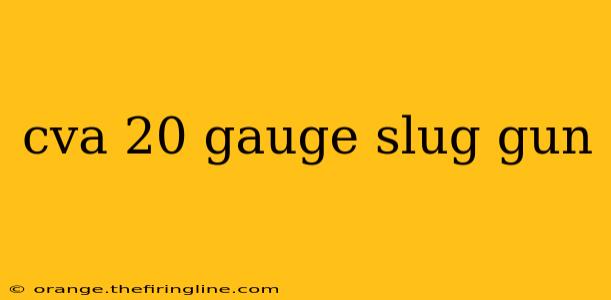 cva 20 gauge slug gun