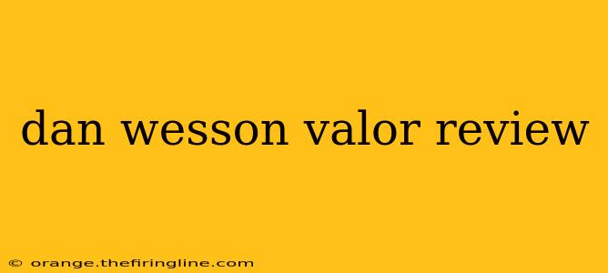 dan wesson valor review