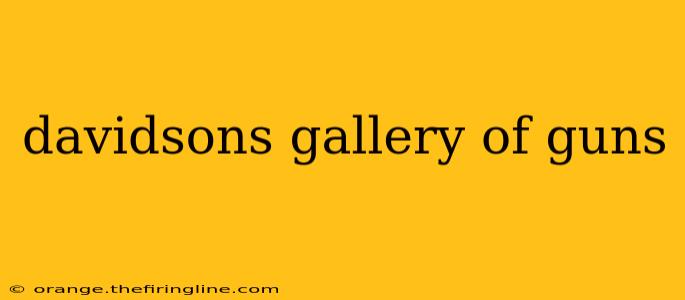 davidsons gallery of guns