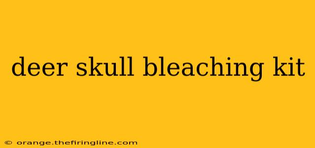 deer skull bleaching kit