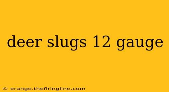 deer slugs 12 gauge