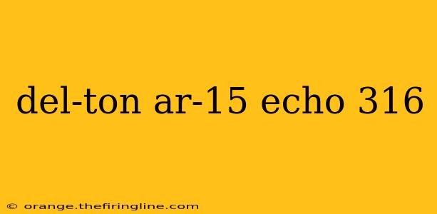 del-ton ar-15 echo 316