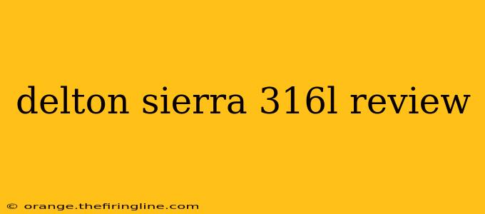 delton sierra 316l review