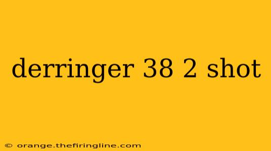 derringer 38 2 shot