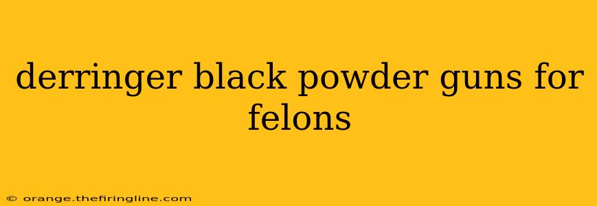 derringer black powder guns for felons