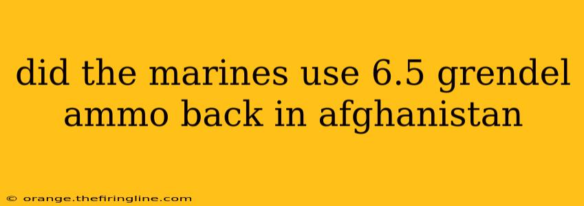 did the marines use 6.5 grendel ammo back in afghanistan