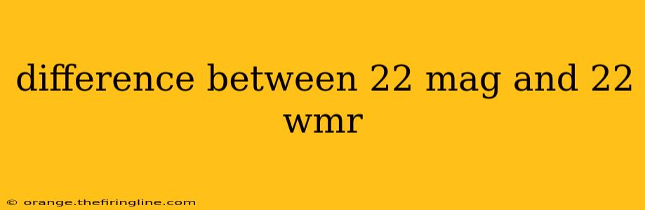 difference between 22 mag and 22 wmr