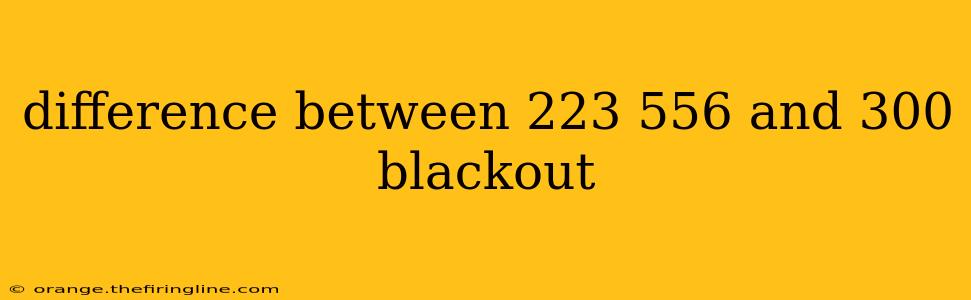 difference between 223 556 and 300 blackout