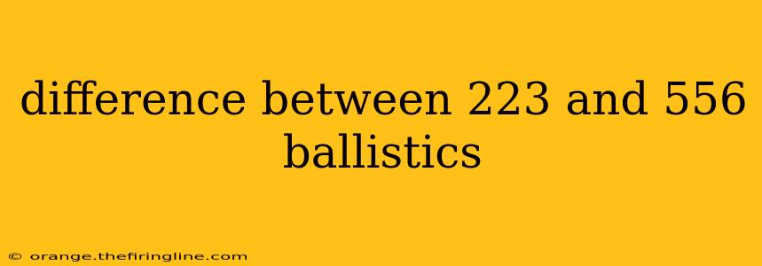 difference between 223 and 556 ballistics