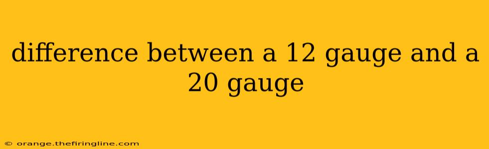 difference between a 12 gauge and a 20 gauge