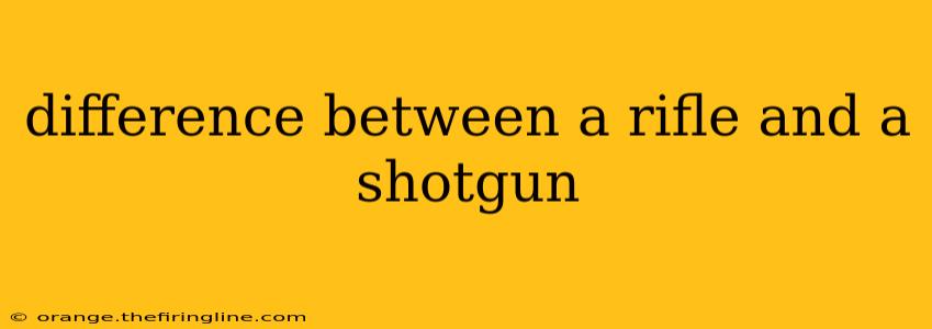 difference between a rifle and a shotgun