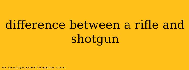 difference between a rifle and shotgun